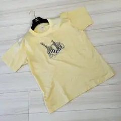 Item thumbnail for item 5c0d63fb-5385-433b-b7da-ee9fb6c4ab01