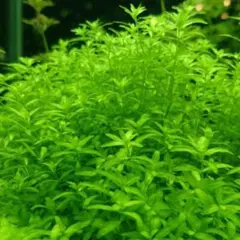 y.a.dosdiosas.2011様 リクエスト 3点 まとめ商品