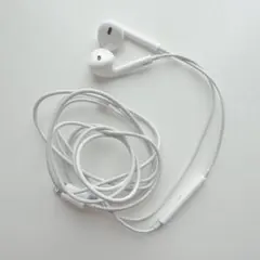 Apple純正Lightning有線イヤホン