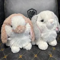 サンレモン　ロップイヤー　ウサギのぬいぐるみ 2体セット