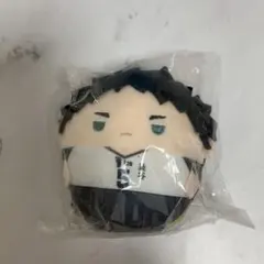 ハイキュー!! 赤葦京治 ふわコロりん 梟谷