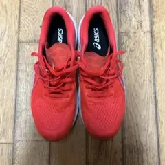 アシックスEvoRide Speed 3 28.5cm