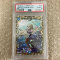 ティガウォック 金