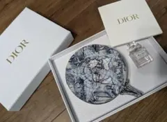 Dior 地図柄 アクセサリーケース
