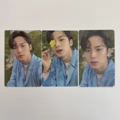 seventeen ミンギュ sector17 トレカ 3枚セット 店舗特典