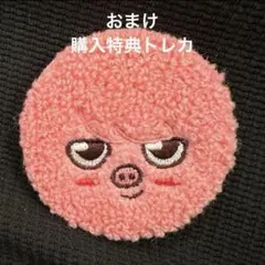 チャンビン トゥエッキ 缶バッジ 購入トレカ ペンミ スキズ