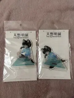 天野明展家庭教師ヒットマンREBORN! フランアクリルスタンド2点セット