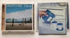 2026年最新】grapevine レコードの人気アイテム - メルカリ