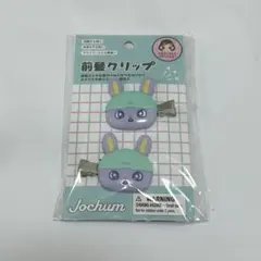 jochum ジェオチャム フルーツデザインシリーズ ちまた 前髪クリップ