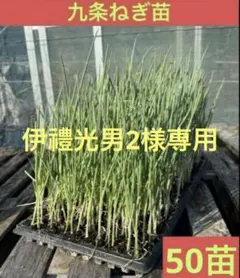 伊禮光男2様 リクエスト 5点 まとめ商品