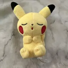 ポケモン ピカチュウ ぬいぐるみ マスコット