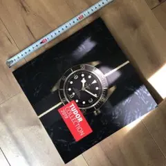 Item thumbnail for item 1f0f2049-8500-4515-b3ab-dcde329245b9