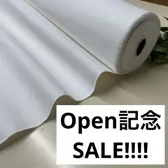 Item thumbnail for item 285f2511-a2aa-475e-bd58-fb348382da4b