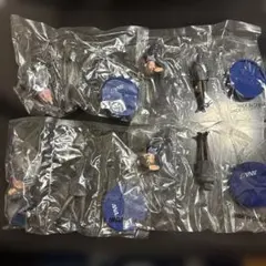 ANA ユニフォームコレクション10種