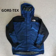ノースフェイス マウンテンパーカー GORE-TEX　サイズМ（US）