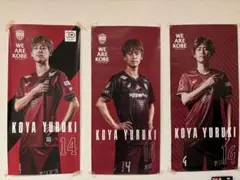 汰木康也選手　ロッカーパネルポスター　3枚セット