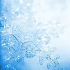 ライトニング様専用　IchigoZukin　nene様