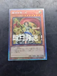 遊戯王 闘者を導く光 エクストラシークレットレア - メルカリ