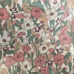 Item thumbnail for item 219780ee-2281-4c4a-ab18-17b78a0d93af