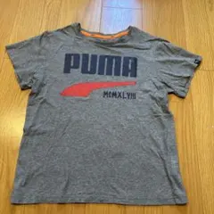 PUMA キッズ Tシャツ グレー 160