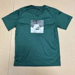 ダークグリーン/半袖/Tシャツ/スポーツ/豚