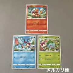 ポケモンカード ポケパーク ミズゴロウ アチャモ 2枚セット - メルカリ