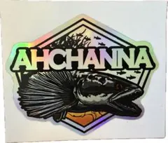 AHCHANNA トーマン　ホログラム ステッカー