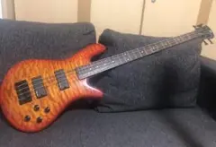 spector