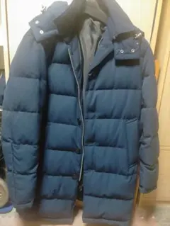 ダウン　インヘリット