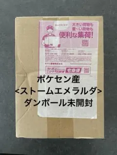 ポケセン産　ストームエメラルダ　段ボール未開封 ダンボール未開封] ストームエメラルダ ポケモンセンターオンライン産