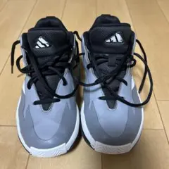 adidas バッシュ　キッズ　ジュニア　バスケ　グレー　21センチのサムネイル