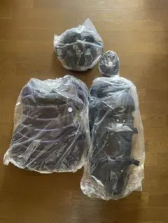 Item thumbnail for item 75a0bb65-6ceb-4e45-ba5a-4a252ff72aa3