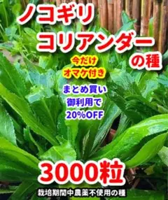 Fufu様 リクエスト 3点 まとめ商品