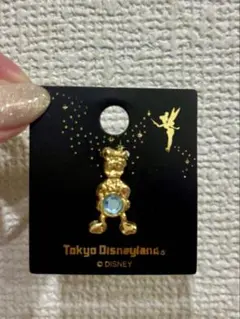 東京ディズニーランド ドナルドダックピンバッジ