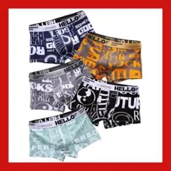 ボクサーパンツ L メンズ 下着 前閉じ 抗菌防臭 綿 ローライズ 5枚