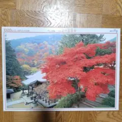 Item thumbnail for item 9200554b-c493-47ec-aff0-20eceb00a6ce