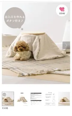 Item thumbnail for item 88098bc1-c6cf-4fee-a3b3-7dd6e1fa2e1d