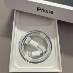 Apple純正 iPhone Lightningケーブル　iPhone14付属