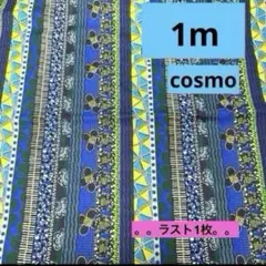ラスト出品SALE★cosmo★アフリカン　ボーダー★シーチング　ラスト1枚