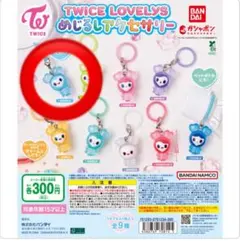 TWICE LOVELYS めじるしアクセサリー　ナブリー