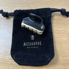 欠損あり】ALEXANDRE DE PARIS リボンヘアクリップ - メルカリ