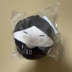 角名倫太郎 ふわコロりん 10個