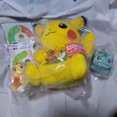 ポケモン 30周年一番くじ ラストワン ワニノコ ヒコザル ぬいぐるみ