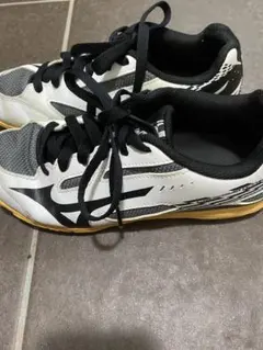 Mizuno 卓球用シューズ ホワイト/ブラック/グレー