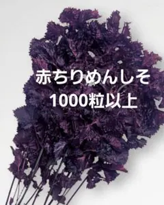 ♡HANA♡happyflower♡様 リクエスト 3点 まとめ商品