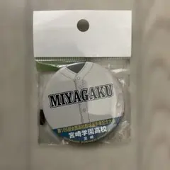 第105回全国高校野球選手権記念大会 宮崎学園高校 缶バッジ