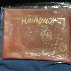 ハイキュー　フラットポーチ