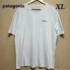Patagonia 半袖Tシャツ　XL ホワイト
