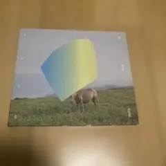My Young Animal Halo CD