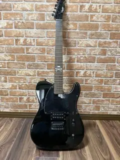 ⭐︎廃盤希少⭐︎極美品⭐︎FERNANDES⭐︎TEJ STD 2S '19 BLK - メルカリ
